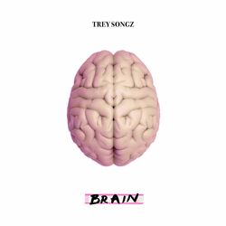 Cover of Brain