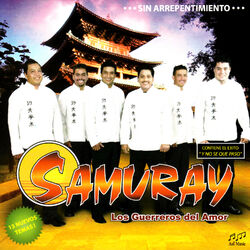 Cover of Sin Arrepentimiento