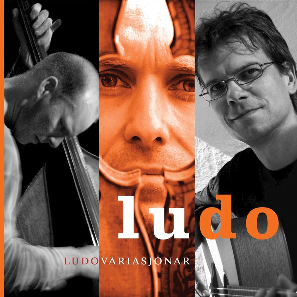 Album cover of Ludovariasjonar