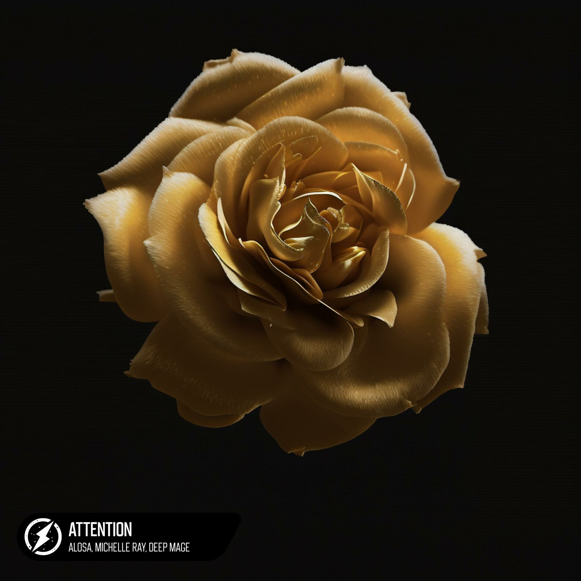 Album cover of Attention