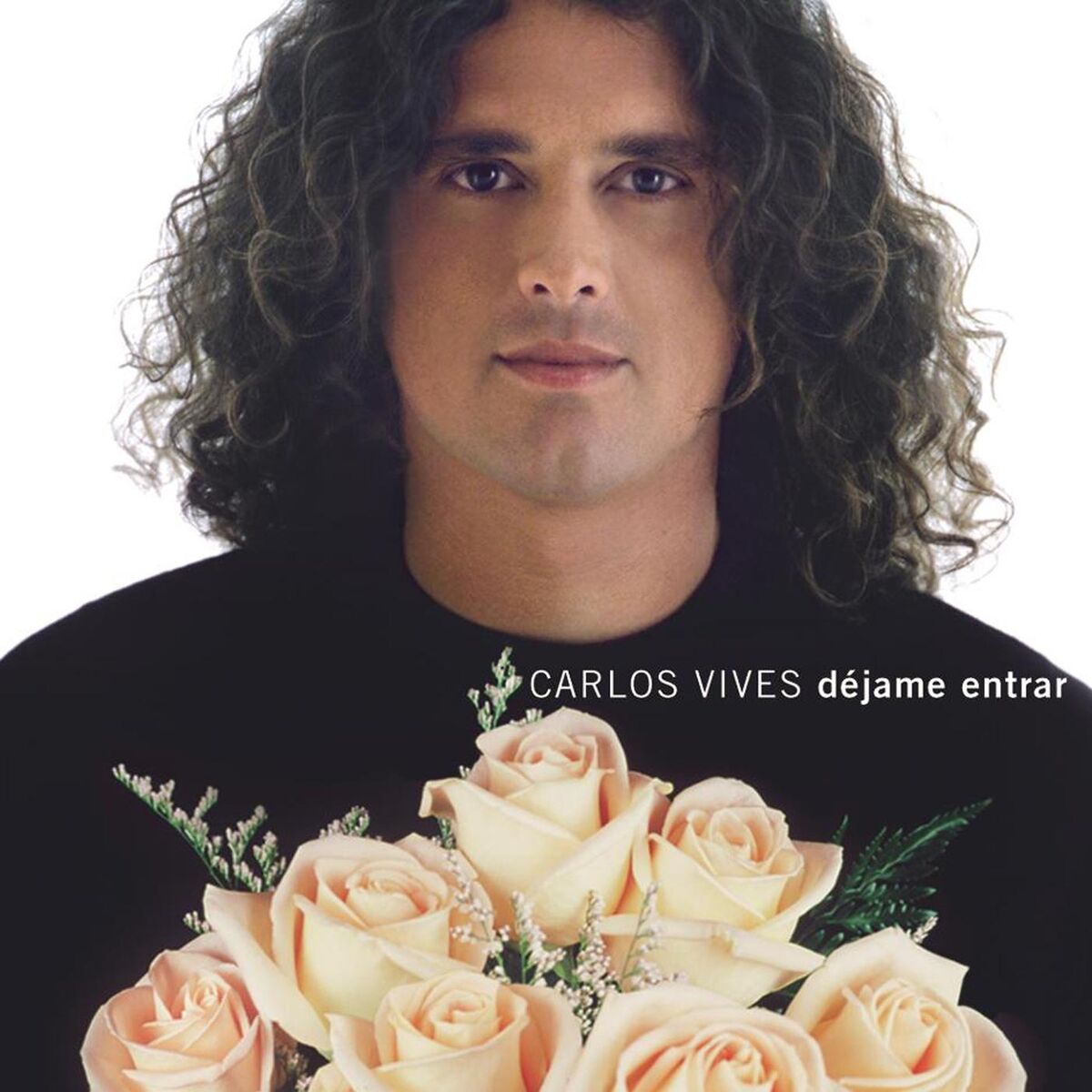 Album cover of Dejame Entrar