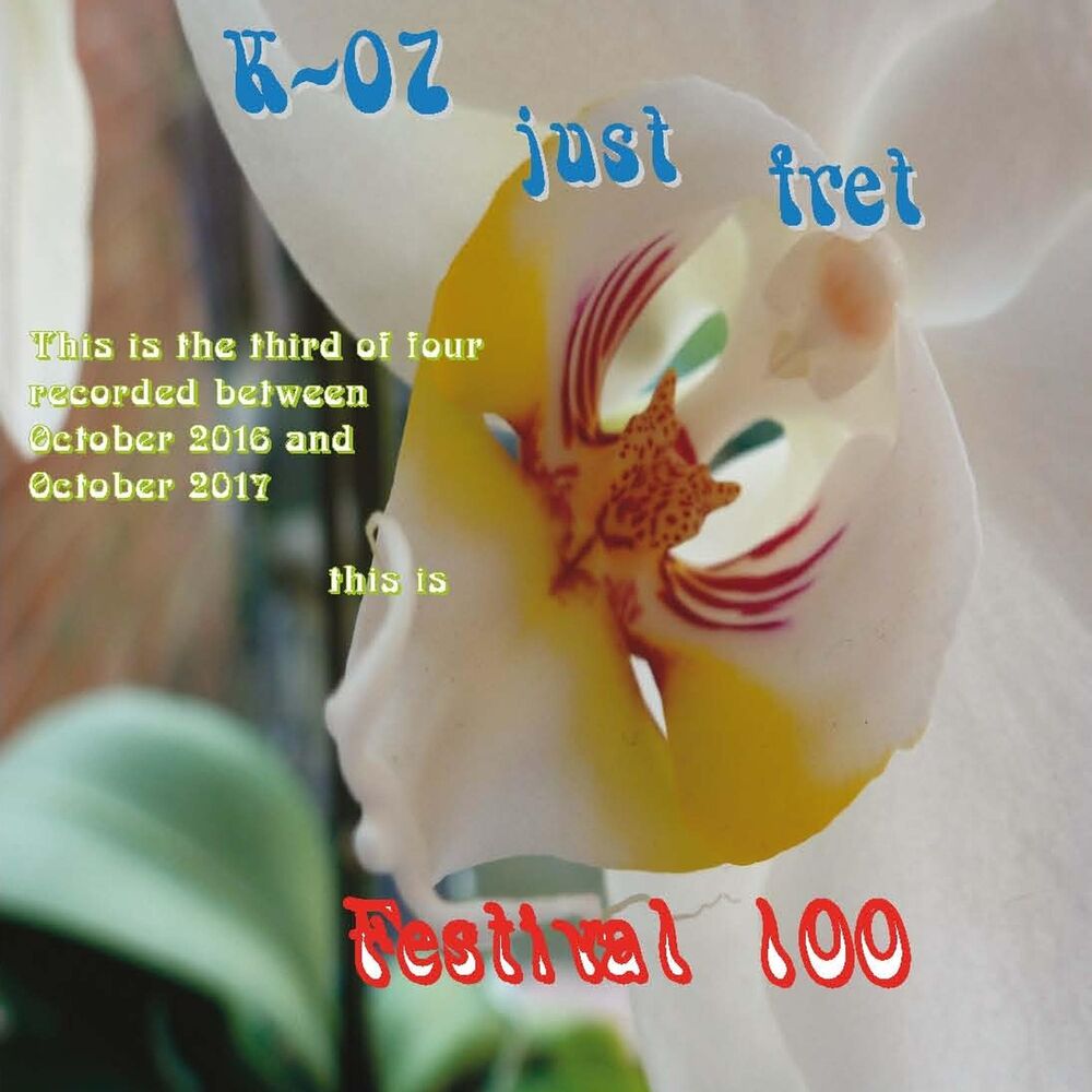 Picture of Festival 100