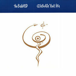 Cover of Celebrate Your Life