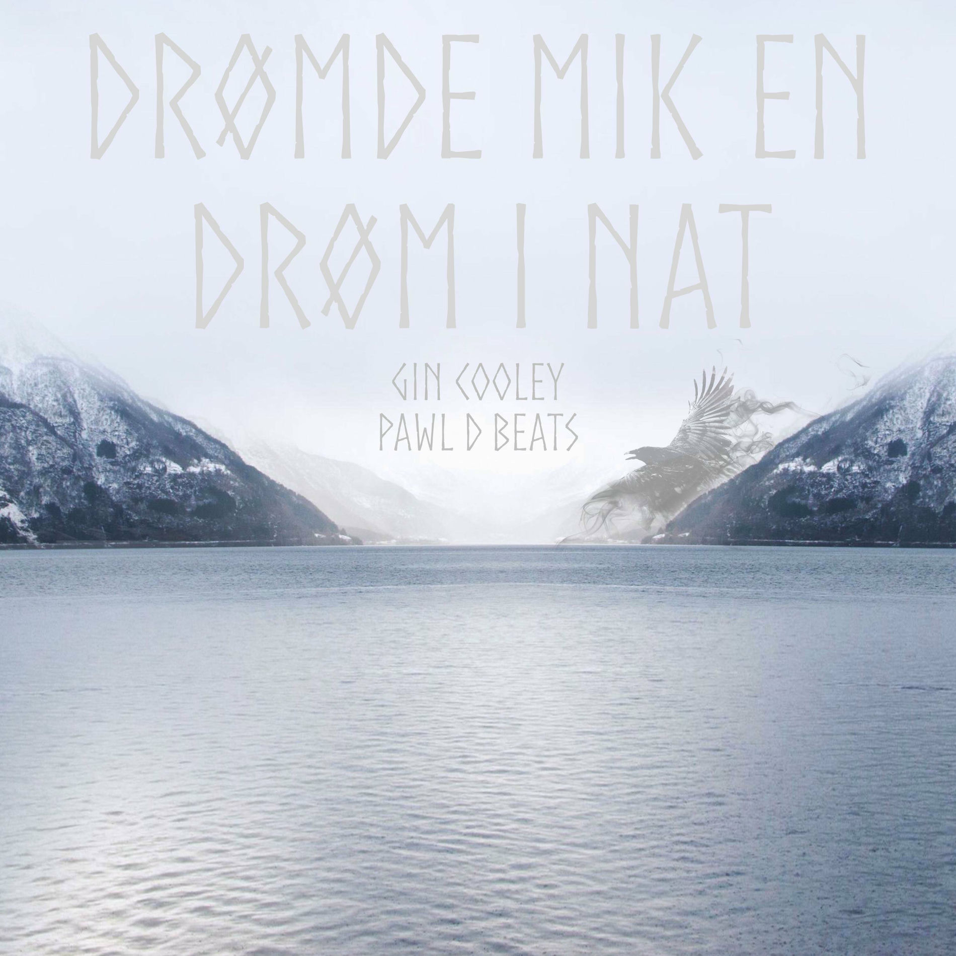 Album cover of Drømde mik en drøm i nat