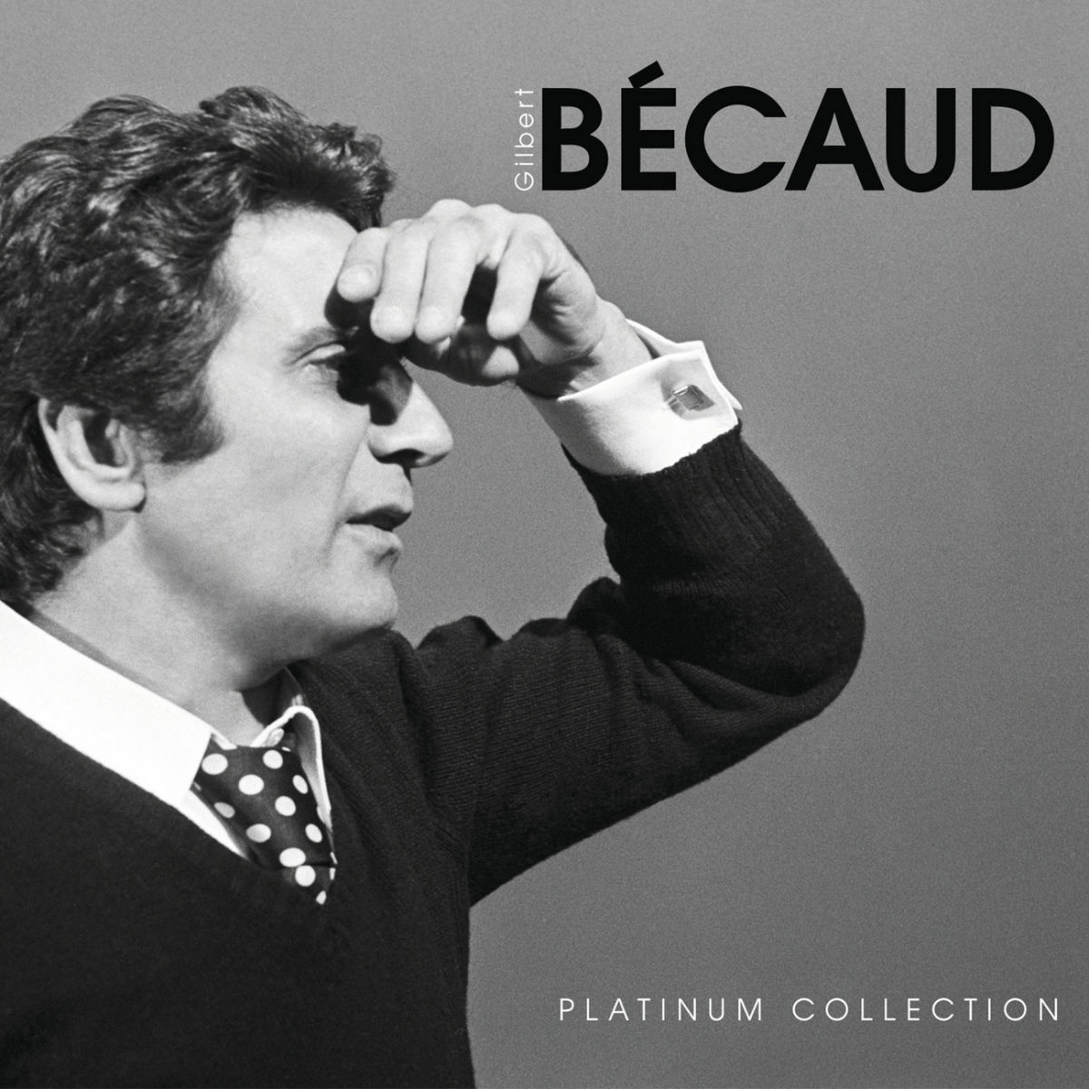 Album cover of Platinum collection