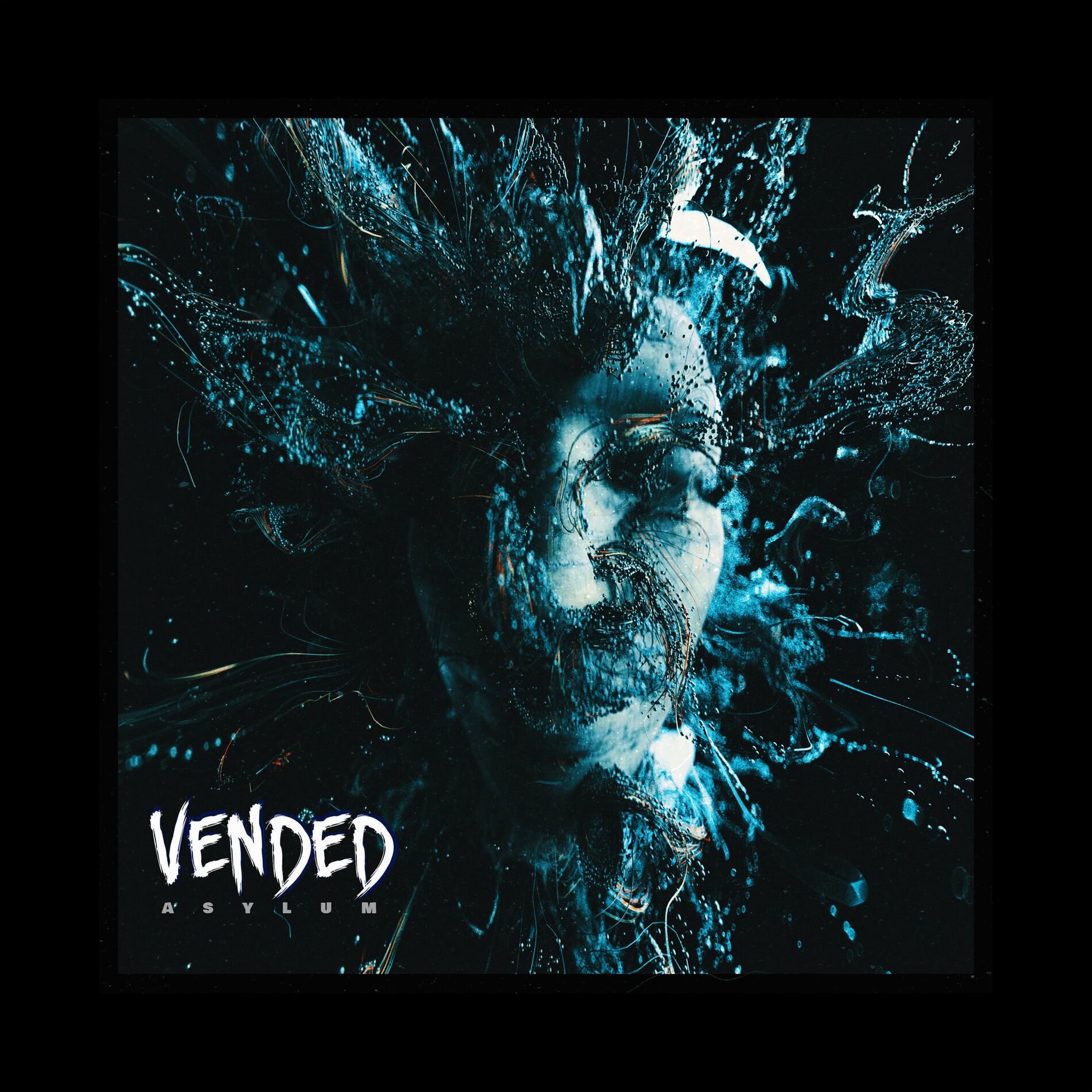 Album cover of Asylum