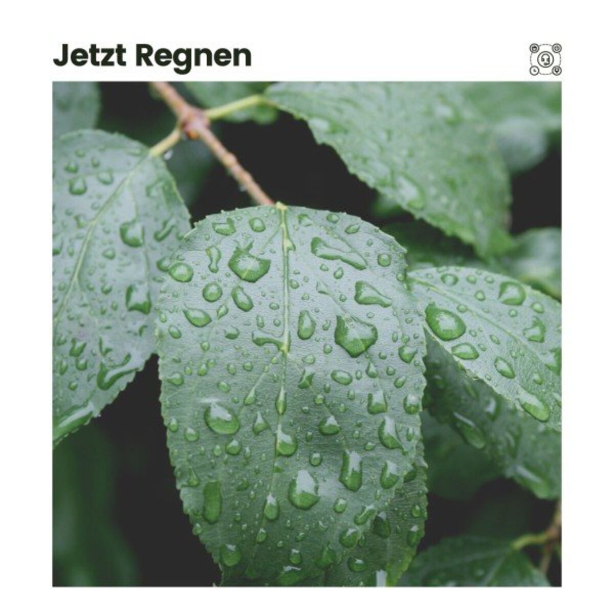 Album cover of Jetzt Regnen