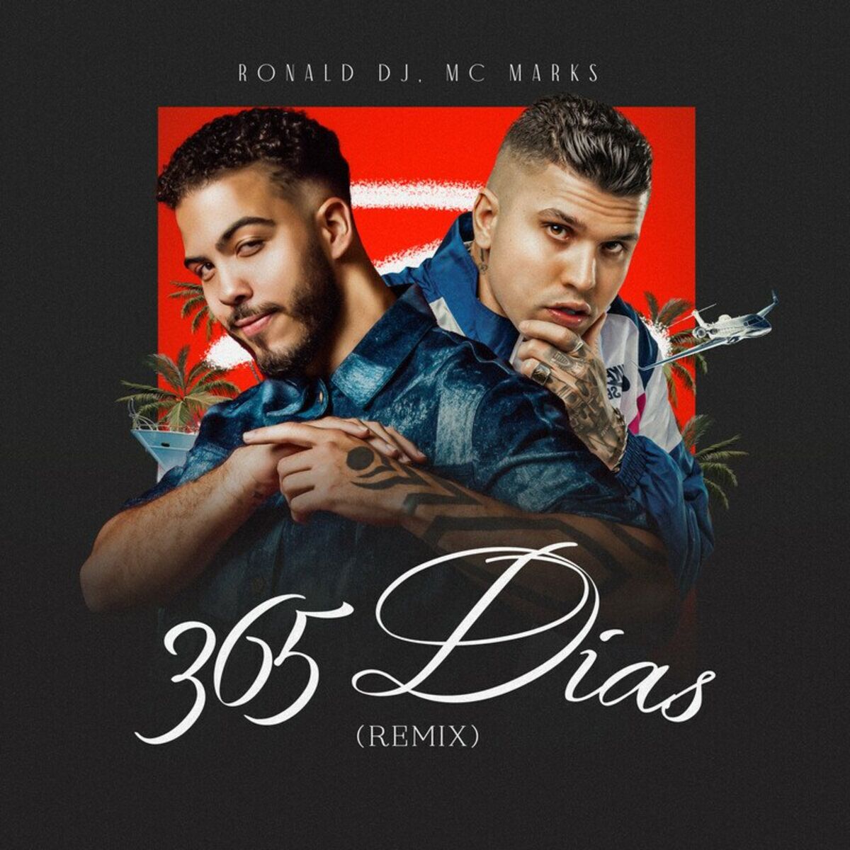 Album cover of 365 Dias (Remix)