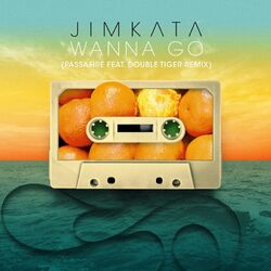 Cover of Wanna Go (Passafire Remix)