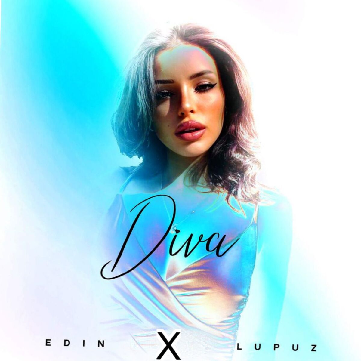 Album cover of Diva