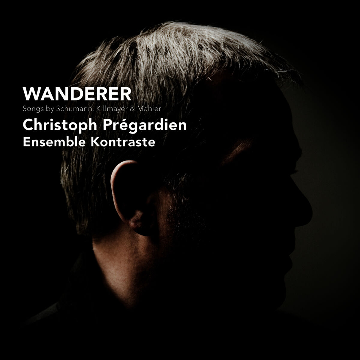 Album cover of Wanderer