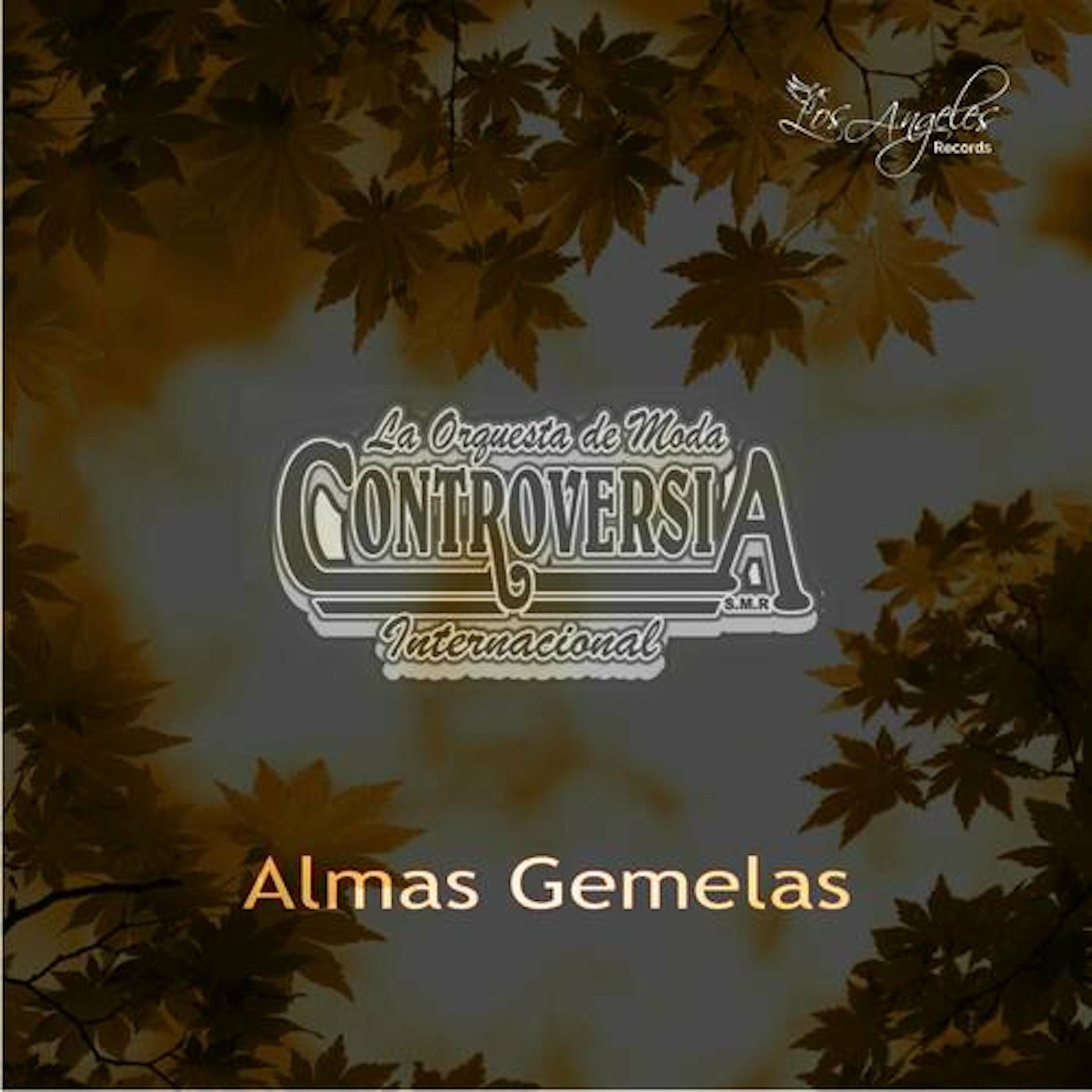 Album cover of Almas Gemelas