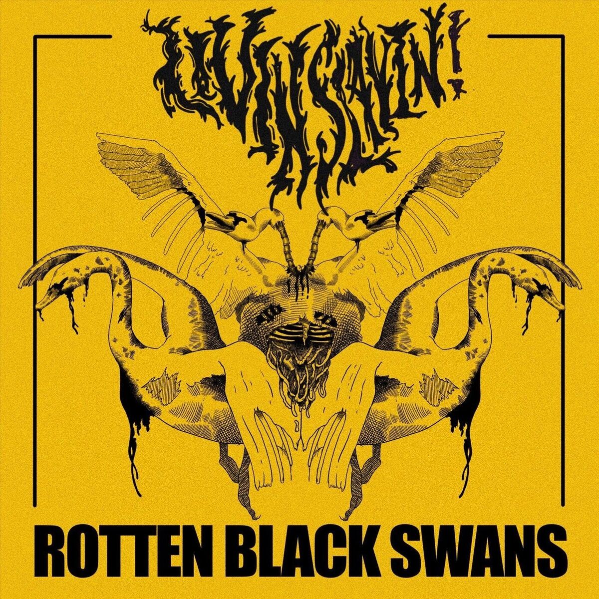 Album cover of Rotten Black Swans