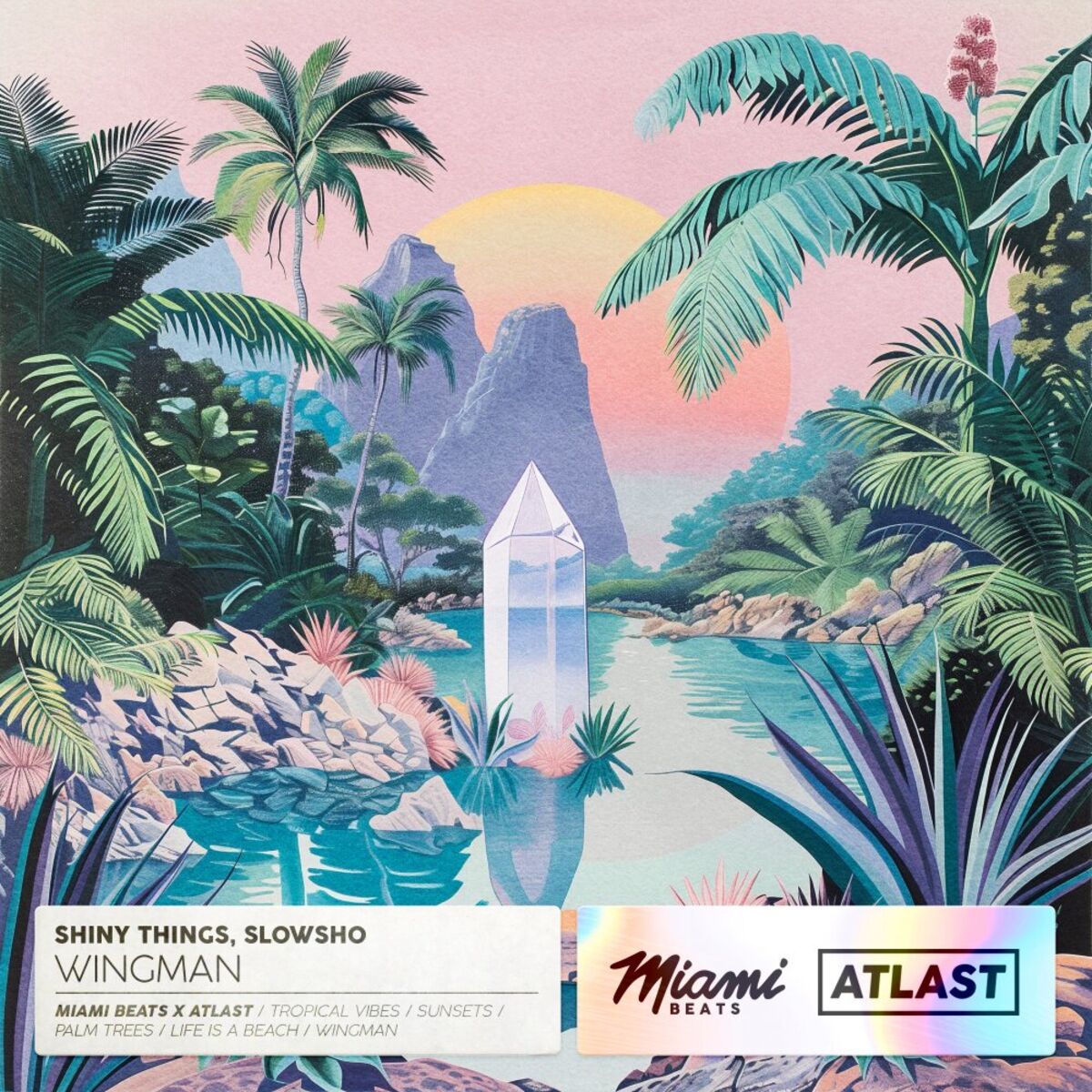 Album cover of wingman