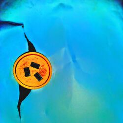 Cover of Solar Pannel