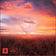 Loverus by Tony Romera album cover