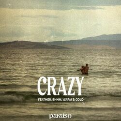 Cover of Crazy
