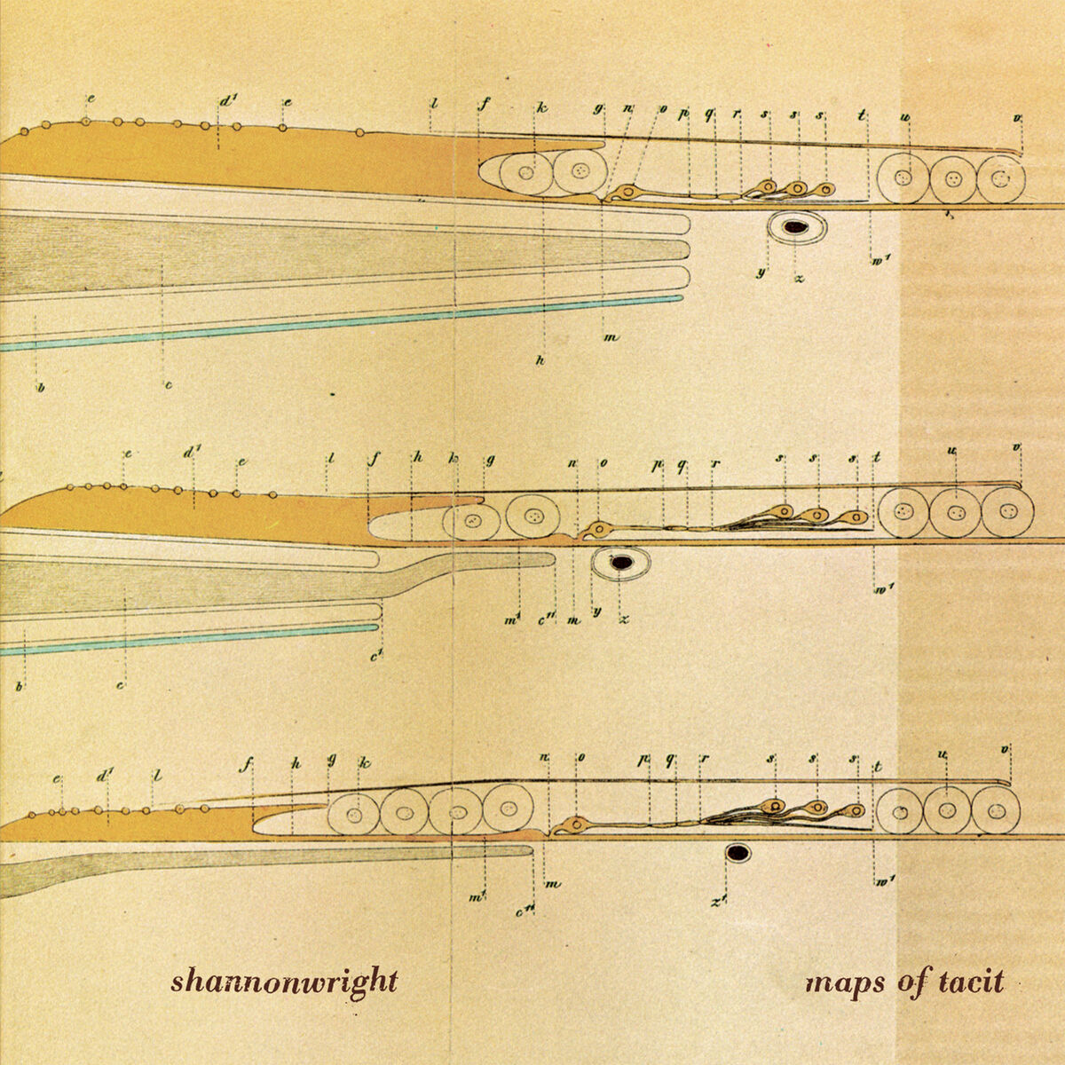 Album cover of Maps of Tacit