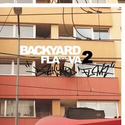 Cover of Backyard Flava Vol. 2
