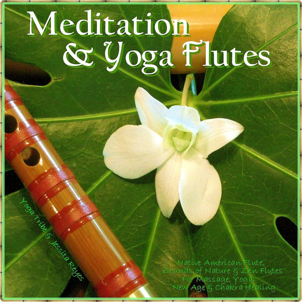 Album cover of Meditation Winds