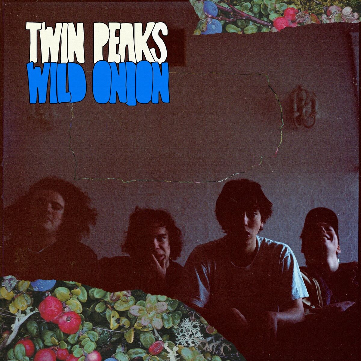 Album cover of Wild Onion