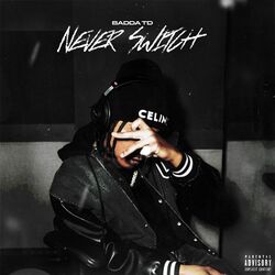 Cover of Never Switch