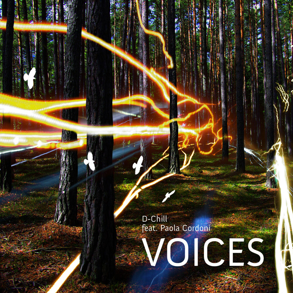 Picture of Voices