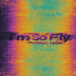 Cover of I'm So Fly