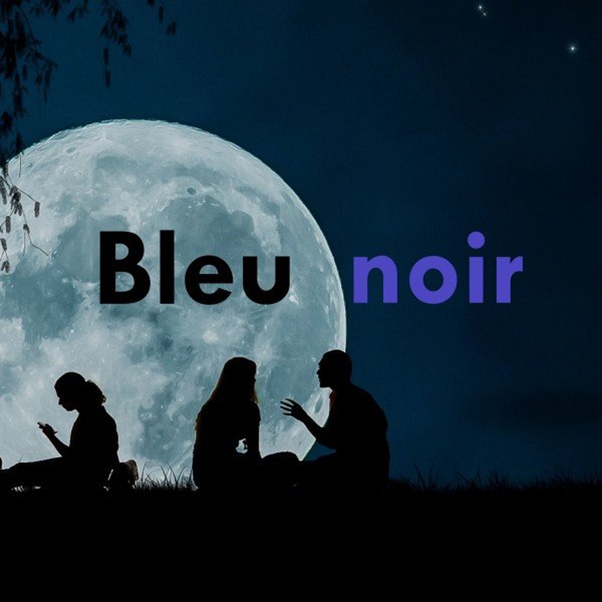 Album cover of Bleu noir