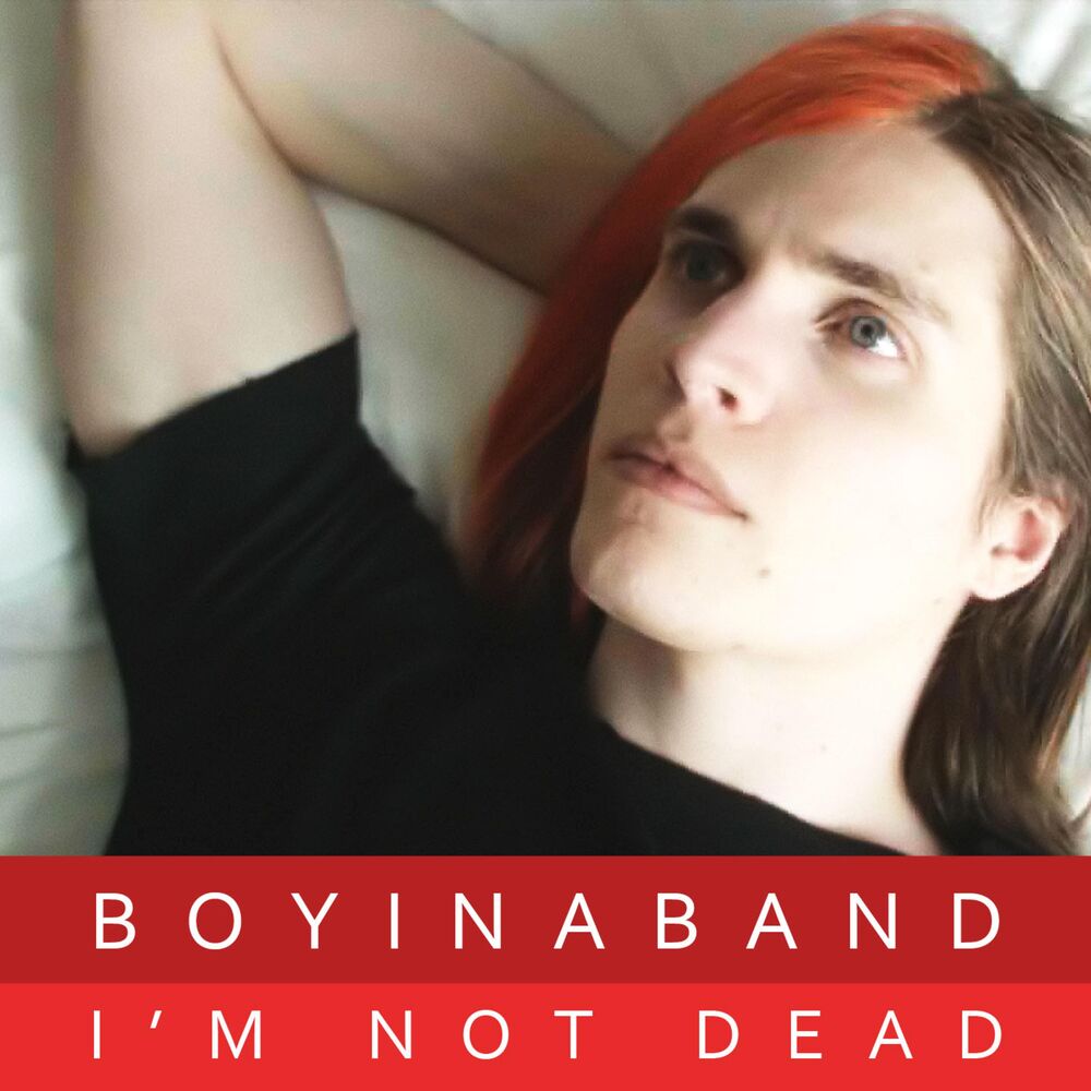 Picture of I'm Not Dead