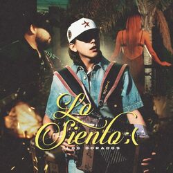 Cover of Lo Siento ;(