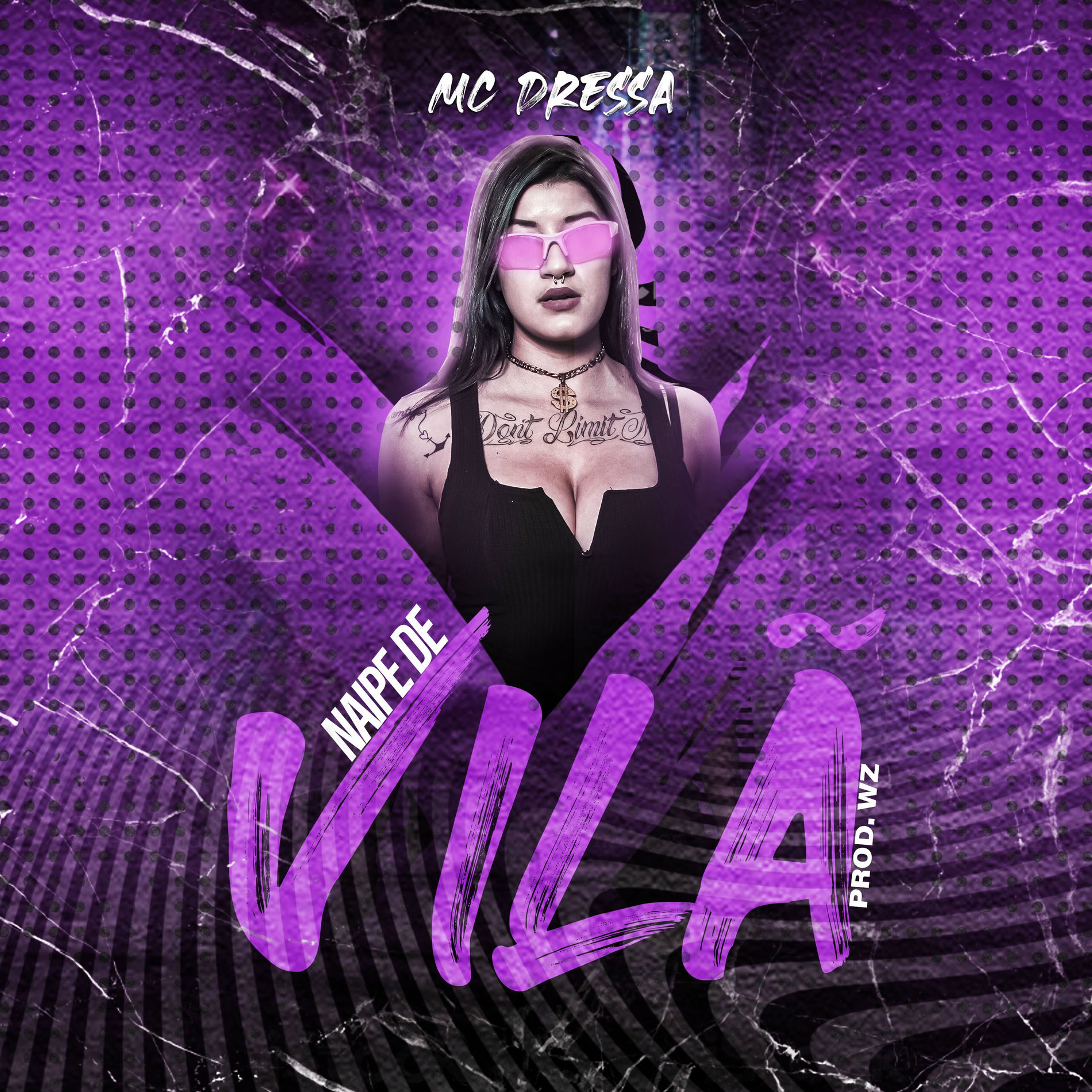Album cover of Nipe de Vilã