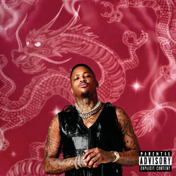 Cover of STAY DANGEROUS