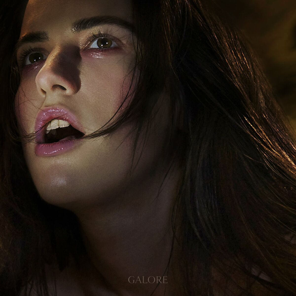 Album cover of fall