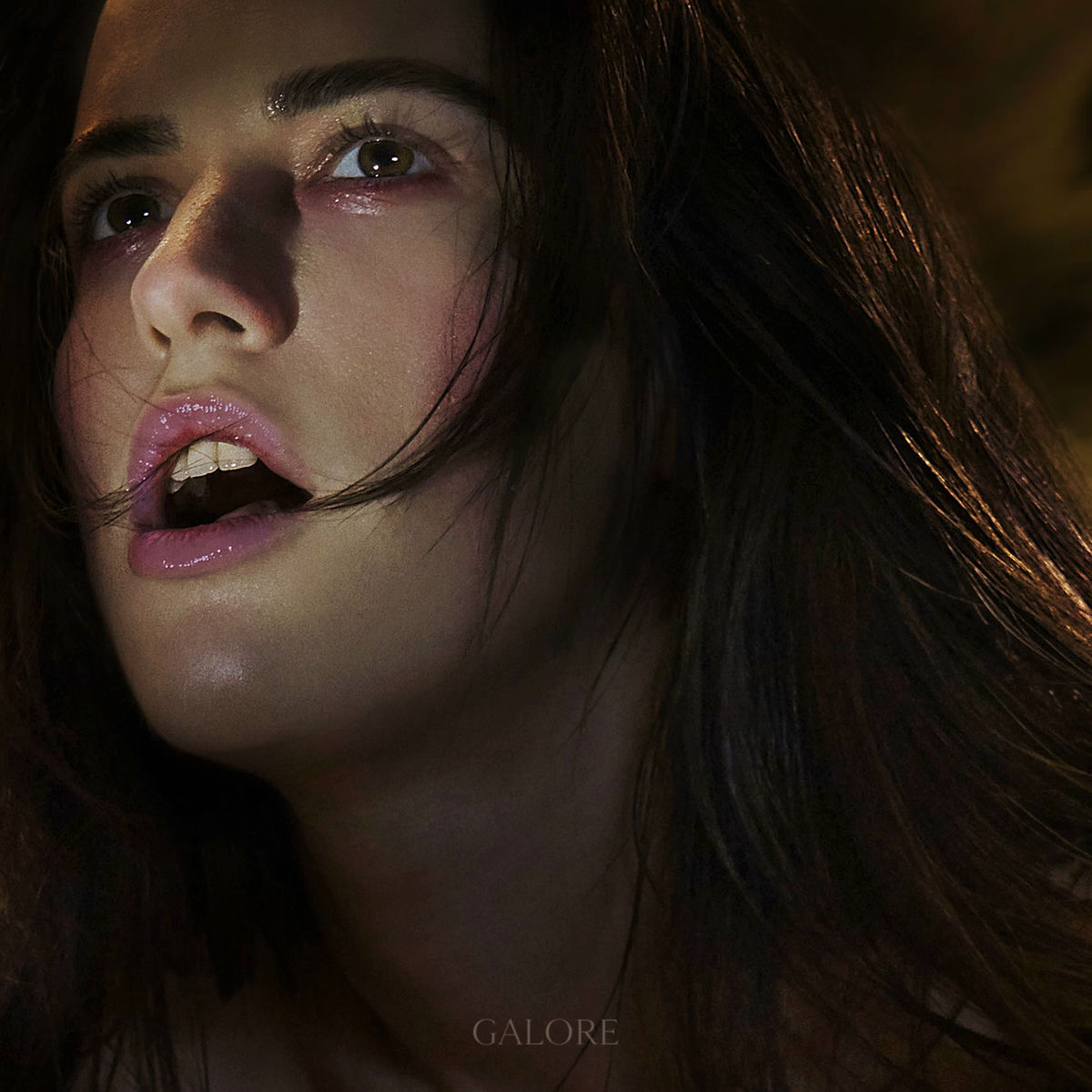 Album cover of Galore