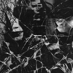 Cover of Mutation