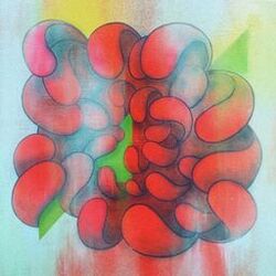 Cover of Shapes and Flowers