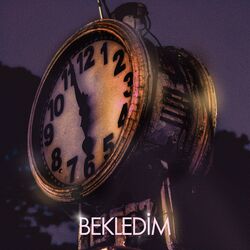 Cover of BEKLEDİM