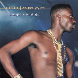 Cover of Ninja is a Ninja