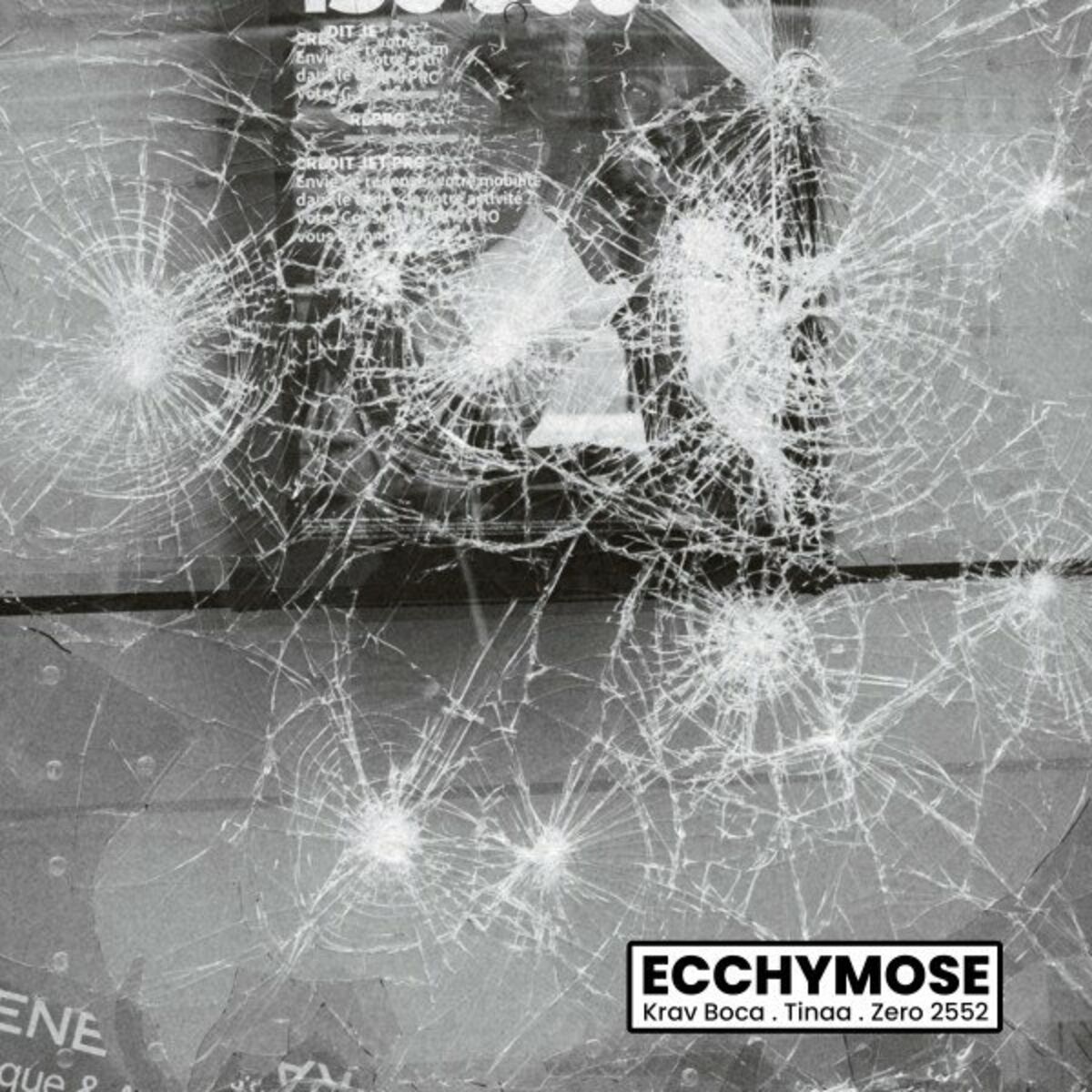 Album cover of Ecchymose