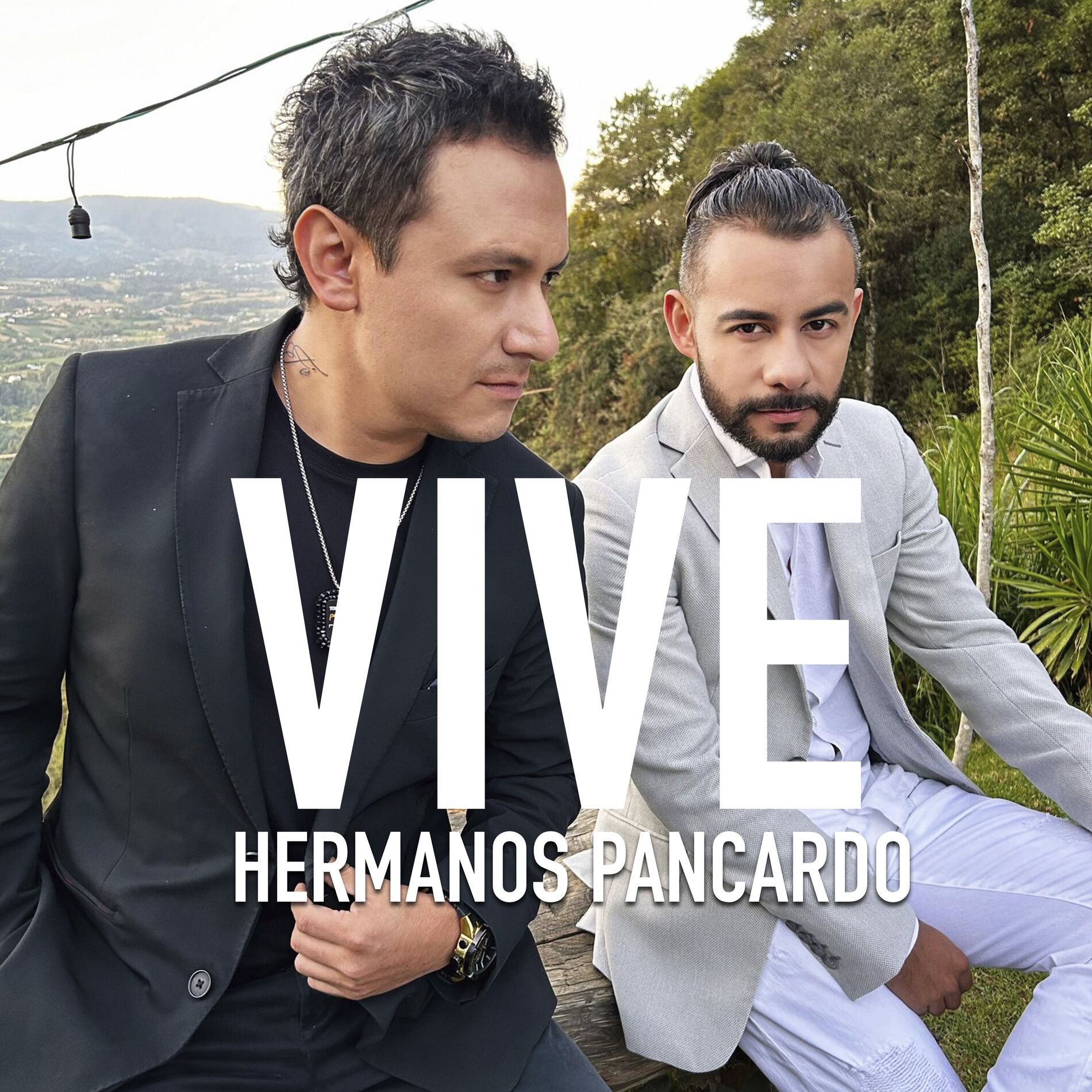 Album cover of Vive