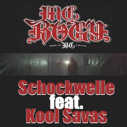 Cover of Schockwelle