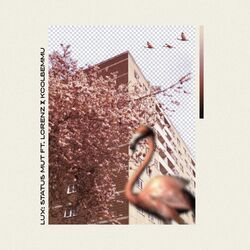 Cover of STATUS MUT
