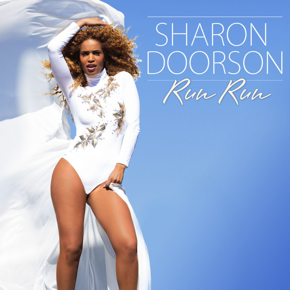 Album cover of Run Run
