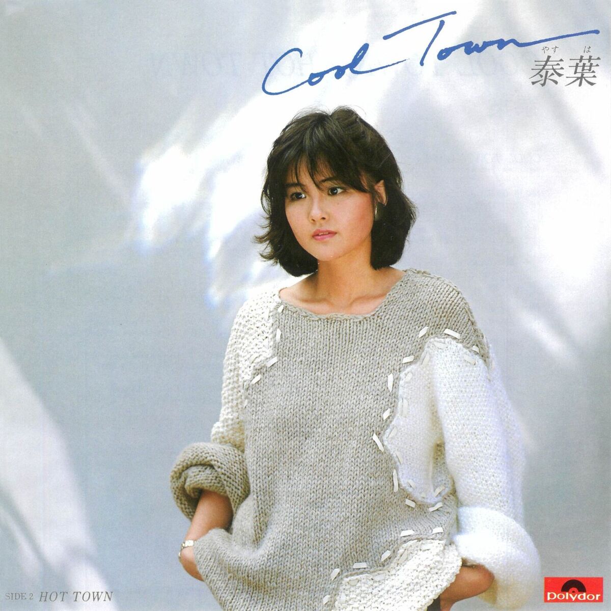 Album cover of Cool Town / Hot Town