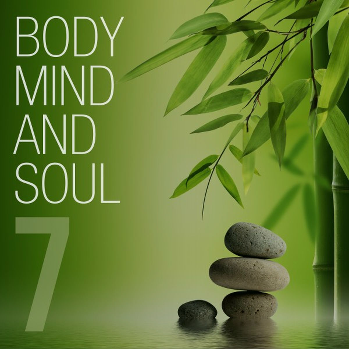 Album cover of Body Mind and Soul, Vol. 7