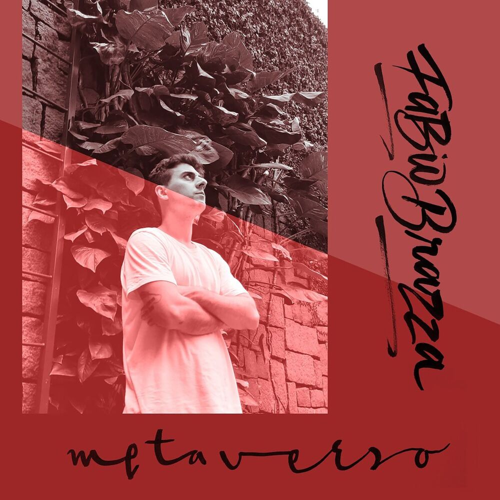 Picture of Metaverso