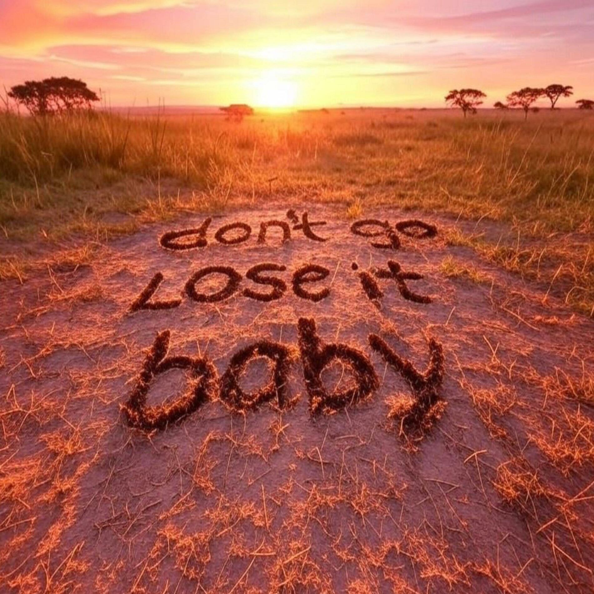 Album cover of Don't Go Lose It Baby (feat. Hugh Masekela)