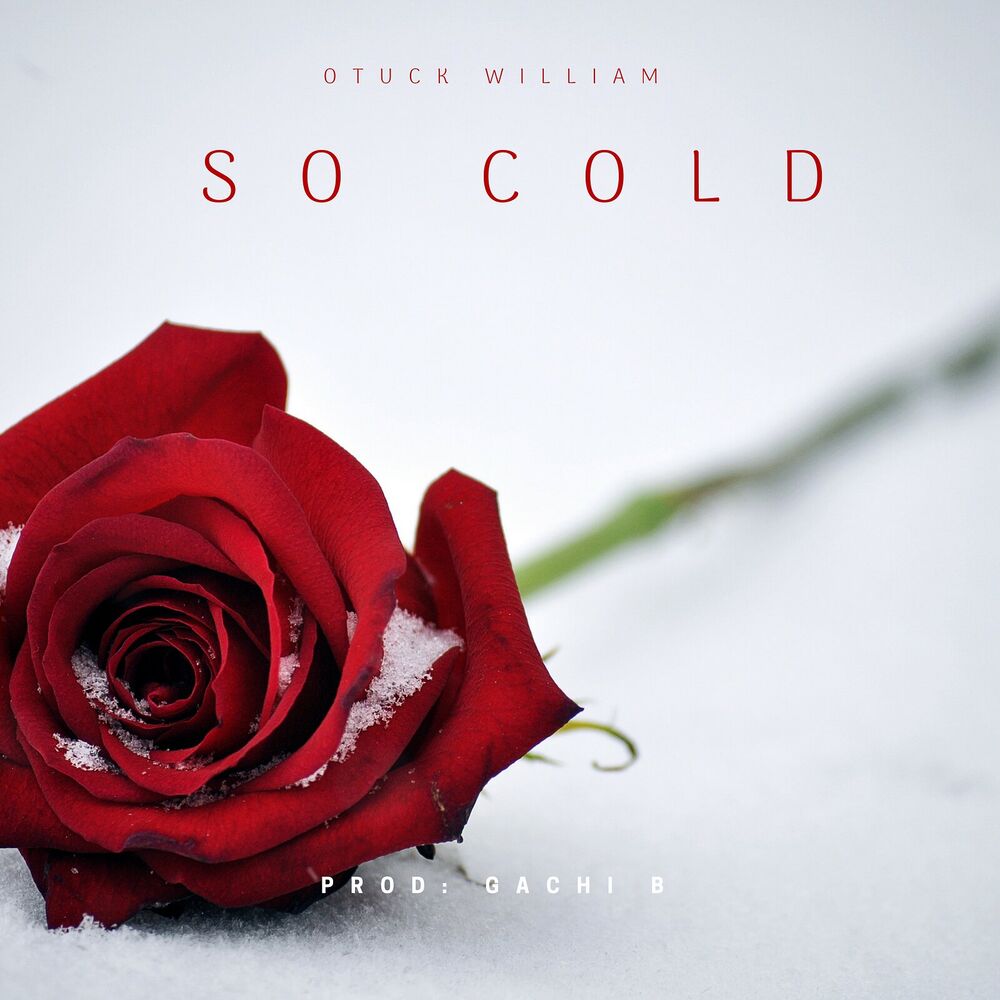 Picture of So Cold