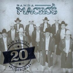Cover of Las 20 Poderosas (USA)